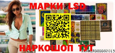 тгк Новодвинск