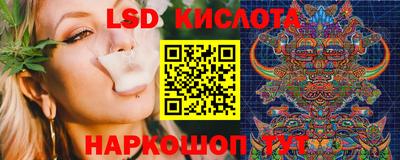 тгк Новодвинск