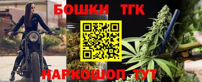 тгк Новодвинск