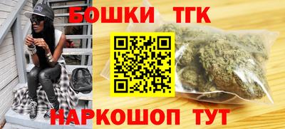 индика Новозыбков