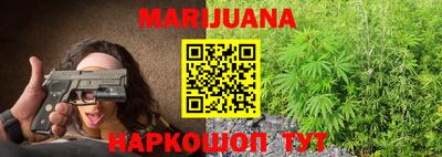 индика Новозыбков