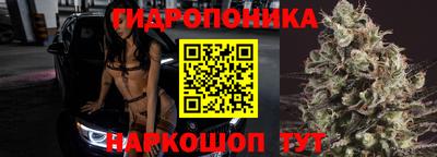 индика Новозыбков