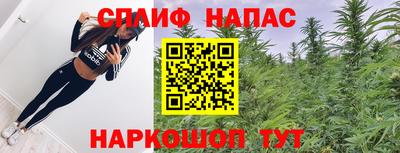 тгк Новодвинск