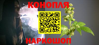 тгк Новодвинск