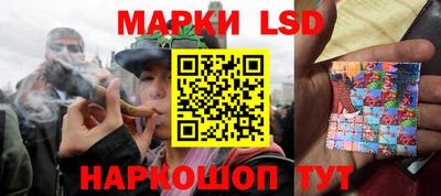 тгк Новодвинск
