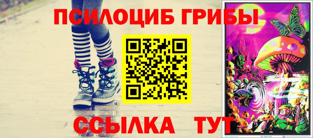 Галлюциногенные грибы GOLDEN TEACHER  Вход с VPN  Серпухов 